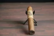 Gurkha Evil Godzilla Toro Single Cigar Gurkha Evil Godzilla Toro Single Cigar