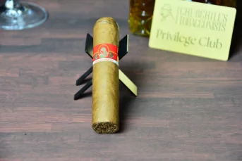 Conquistador Gordito single cigar