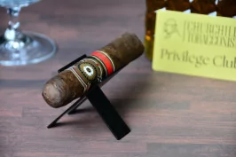 Perdomo 20th Anniversay Maduro Robusto
