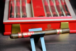 Plasencia Year of the Snake