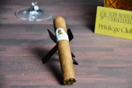 Davidoff Winston Churchill Statesman Robusto Single Cigar