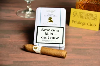 Davidoff WINSTON CHURCHILL BELICOSO Tin
