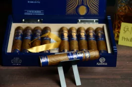 Plasencia Cielo Robusto
