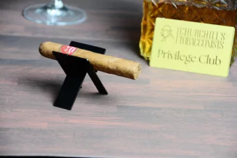 Partagas Shorts