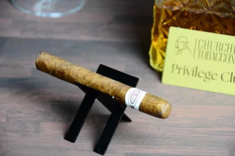 Jose L Piedra BREVAS single cigar