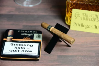 Primeros Nicaragua by Davidoff single