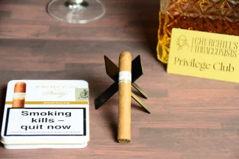 Primeros Dominican by Davidoff single
