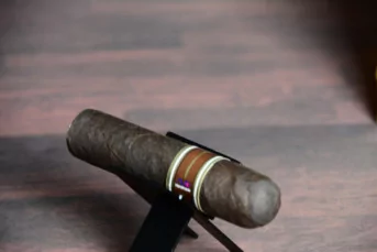 Nub Maduro 460