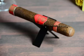 Plasencia Year of the Horse