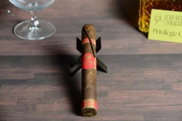 Plasencia Year of the Horse