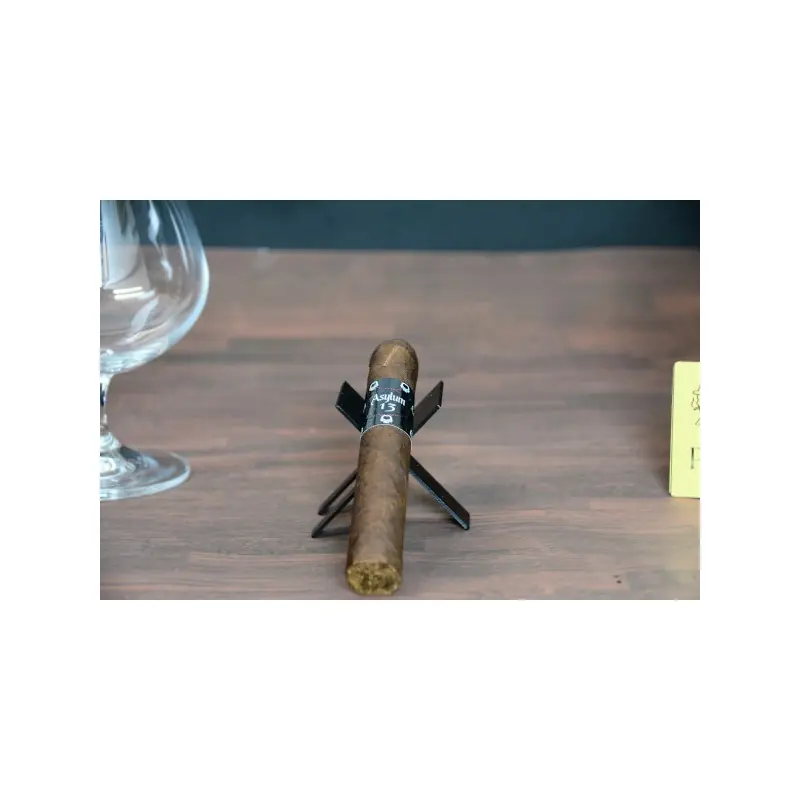 Asylum 13 Robusto Asylum 13 Robusto