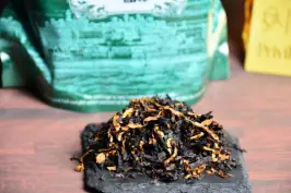 Spirit of Scotland pipe tobacco 5G Sample