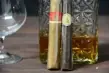 Conquistador Bundle