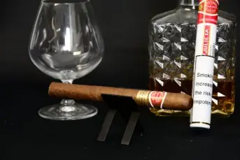 Romeo Y Julieta Churchill Rated (93–95/100)
