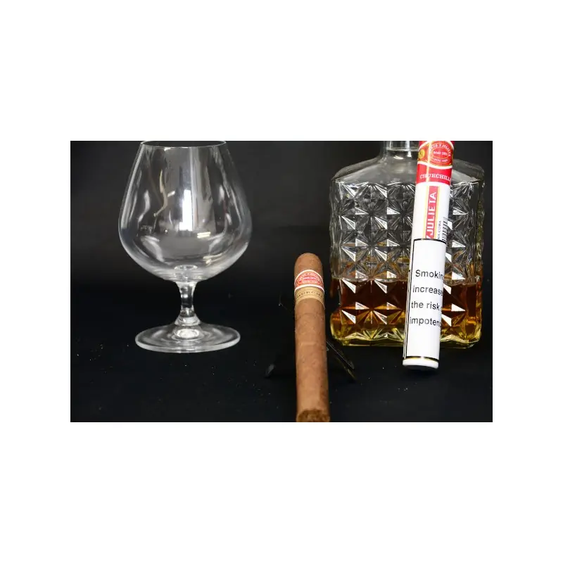 Romeo Y Julieta Churchill Rated (93–95/100)