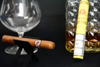 Montecristo Petit Tubos