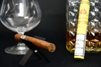 Montecristo Petit Tubos