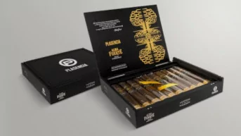 Plasencia Alma Fuerte Box of 10 Cigars