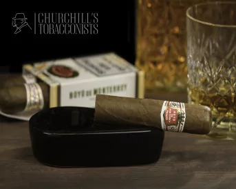 Hoyo De Monterrey Petit Robusto Single Cigar
