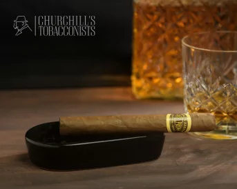 Jose L Piedra BREVAS single cigar