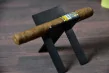 Cohiba Wide Shorts Pack of 6 Cohiba Wide Shorts Pack of 6