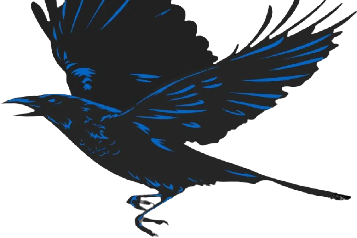 Blackbird