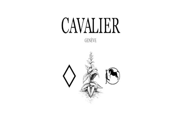 Cavalier